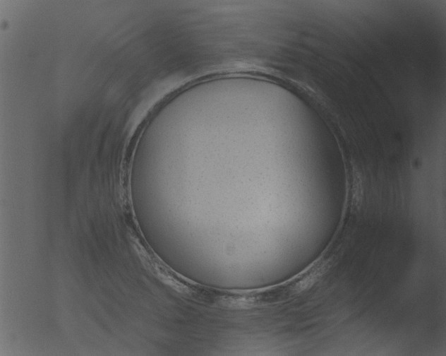 X0000053071278200507181617