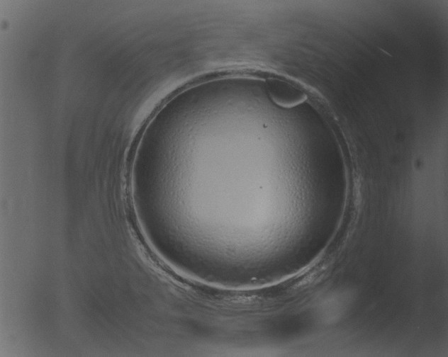 X0000053071279200507181616