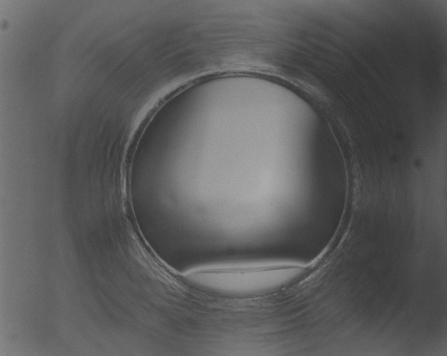 X0000053071280200507181616