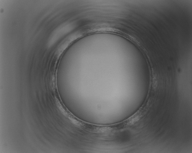 X0000053071282200507181616