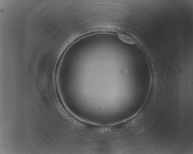 X0000053071283200507181616