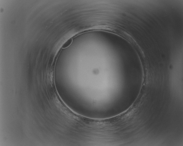 X0000053071284200507181616