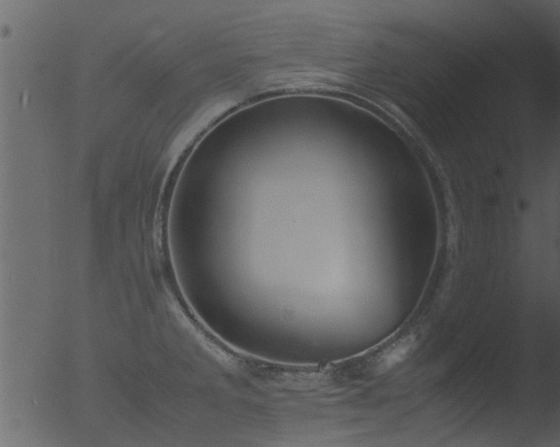 X0000053071285200507181616