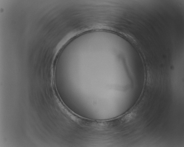 X0000053071286200507181616