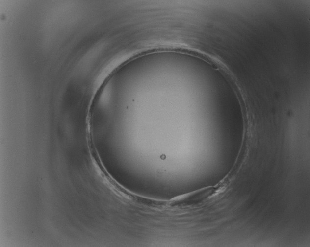 X0000053071287200507181616