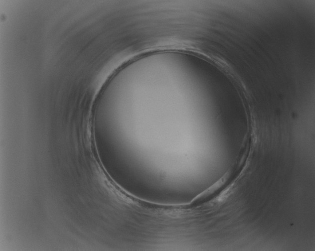 X0000053071288200507181616