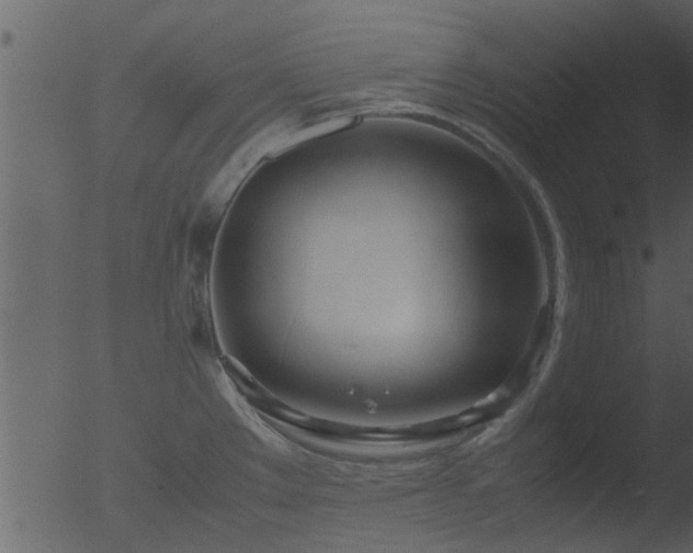 X0000053071289200507181616