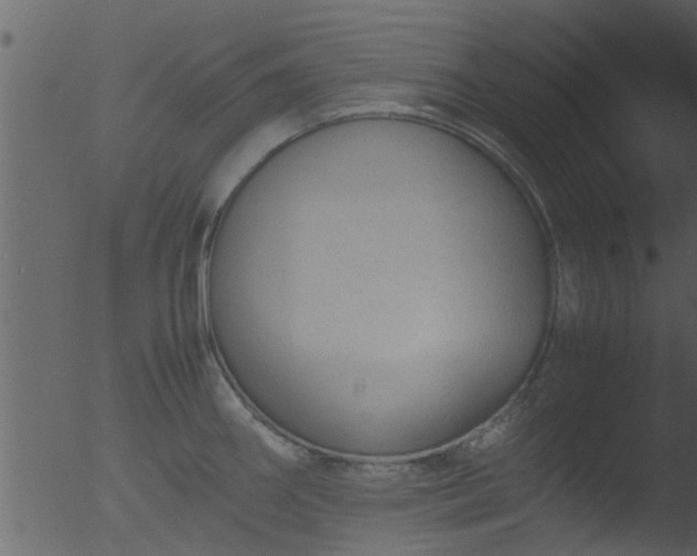 X0000053071290200507181616