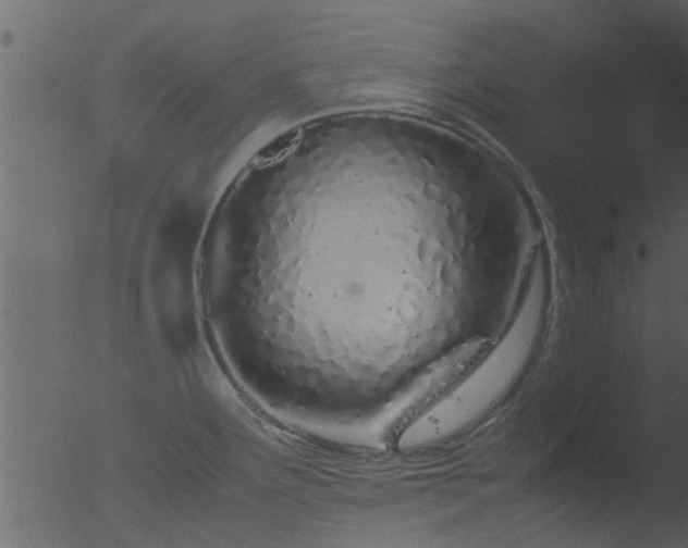 X0000053071291200507181616