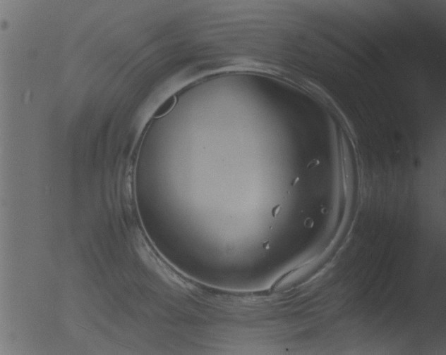 X0000053071292200507181616