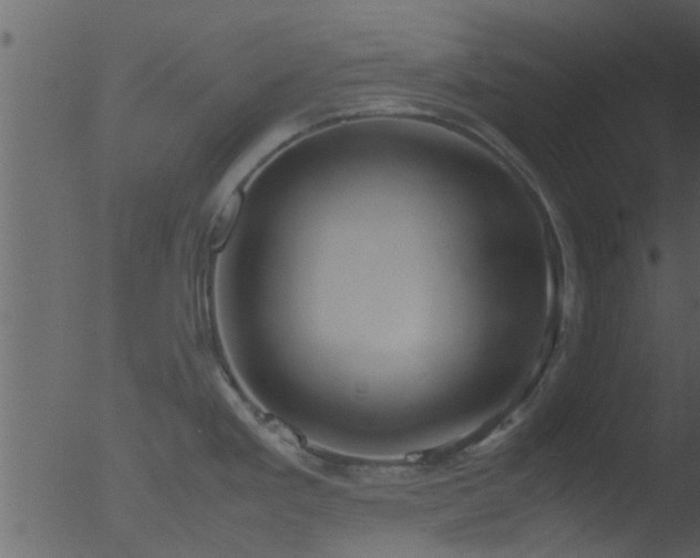 X0000053071293200507181616