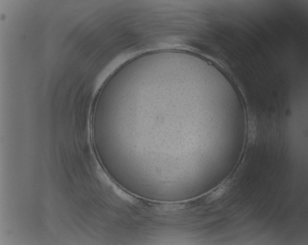 X0000053071294200507181616