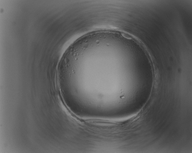 X0000053071295200507181616