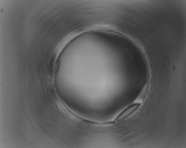 X0000053071296200507181616