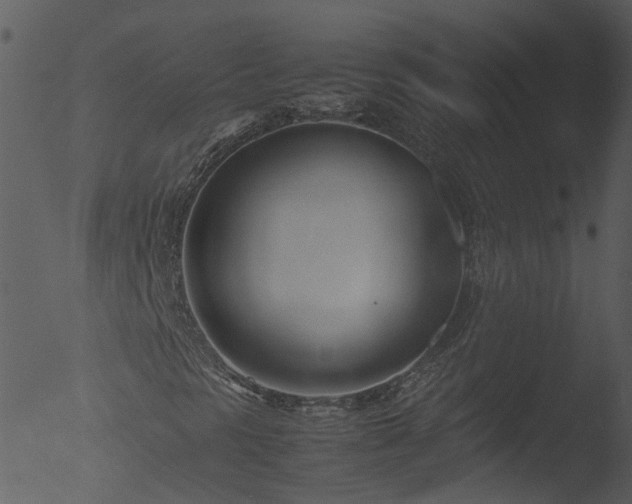 X0000053071297200507181615