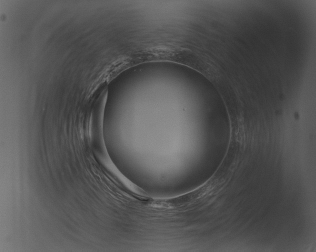 X0000053071298200507181615