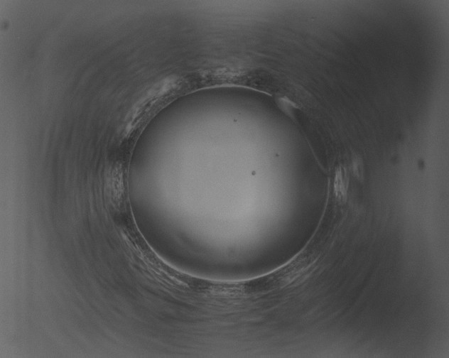 X0000053071299200507181615