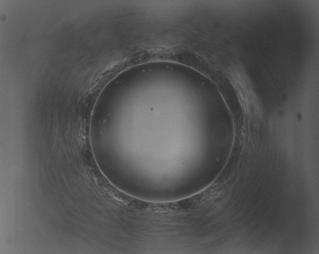 X0000053071301200507181615