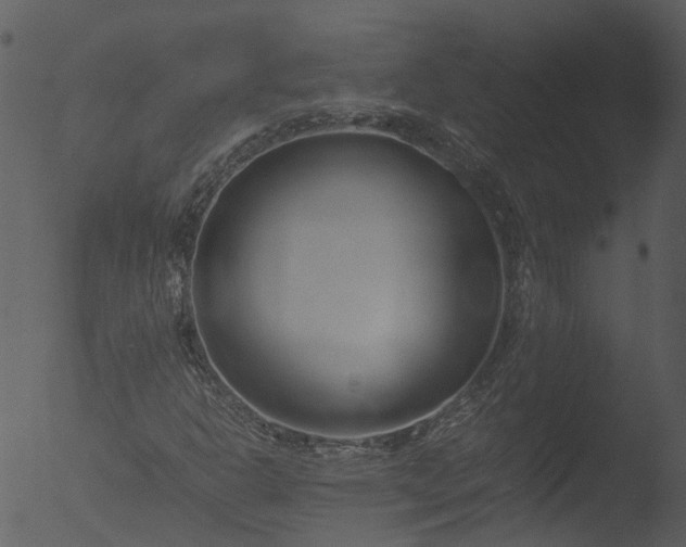 X0000053071302200507181615