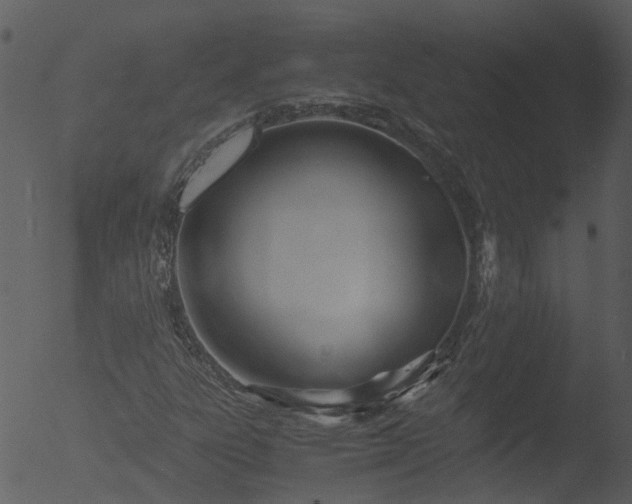 X0000053071303200507181615