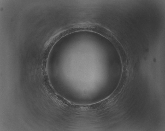 X0000053071304200507181615