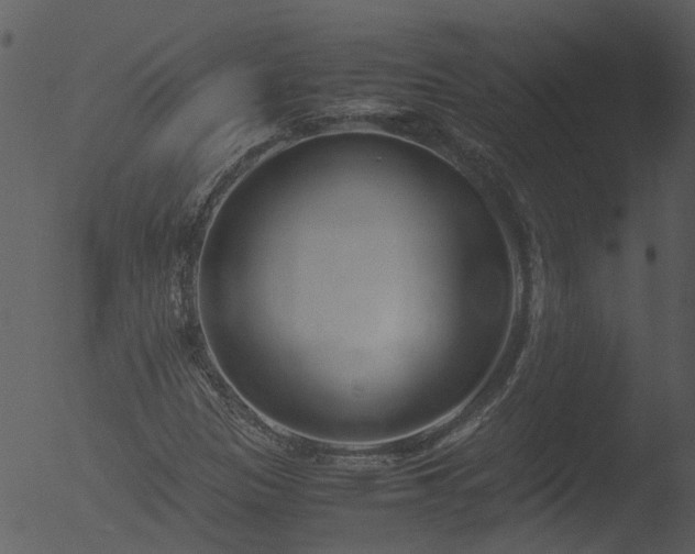 X0000053071305200507181615