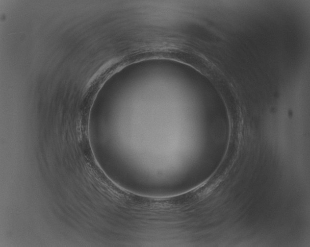 X0000053071306200507181615