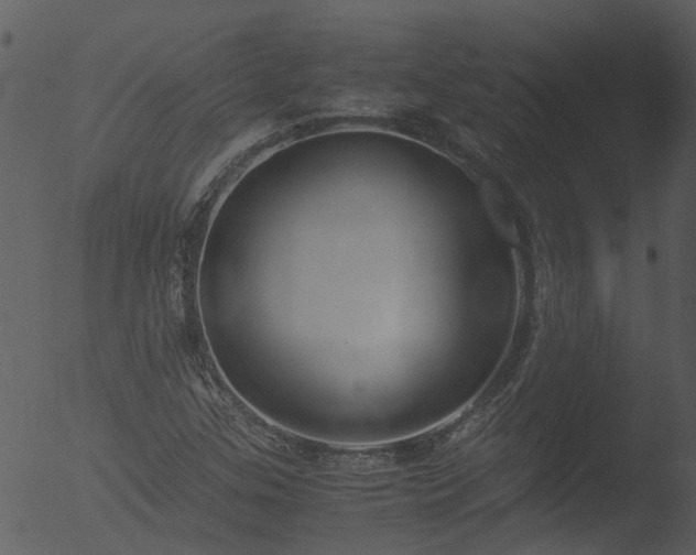 X0000053071307200507181616