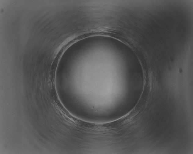 X0000053071308200507181616