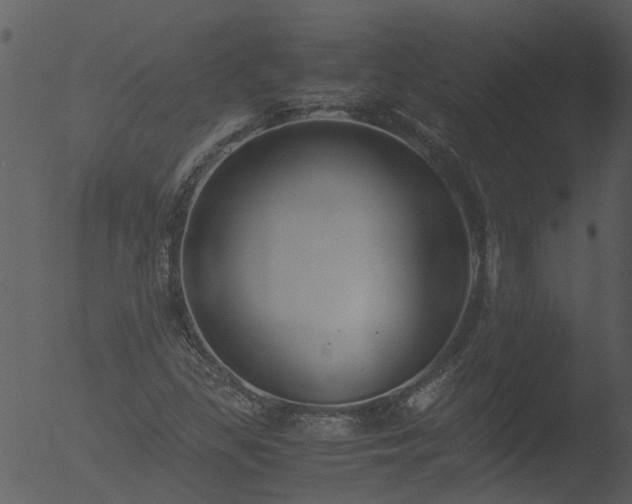 X0000053071309200507181616