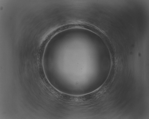 X0000053071311200507181616