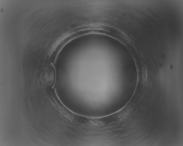 X0000053071312200507181616