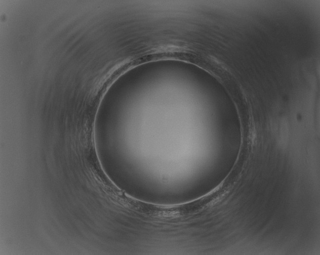 X0000053071313200507181616