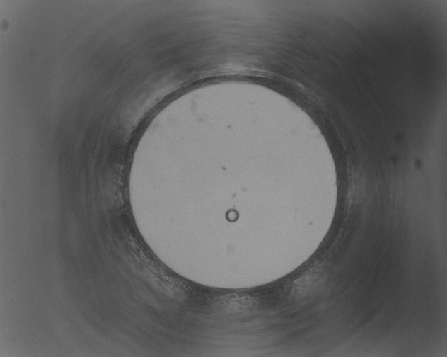 X0000053071314200507181616