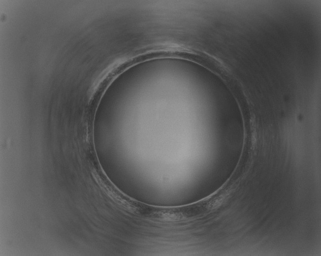 X0000053071318200507181616