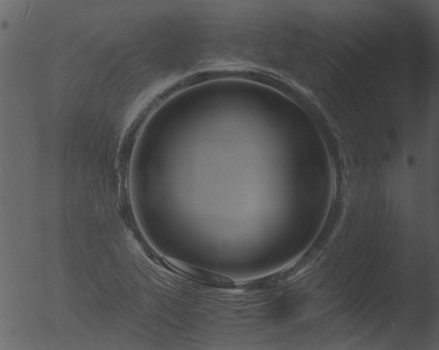 X0000053071319200507181616