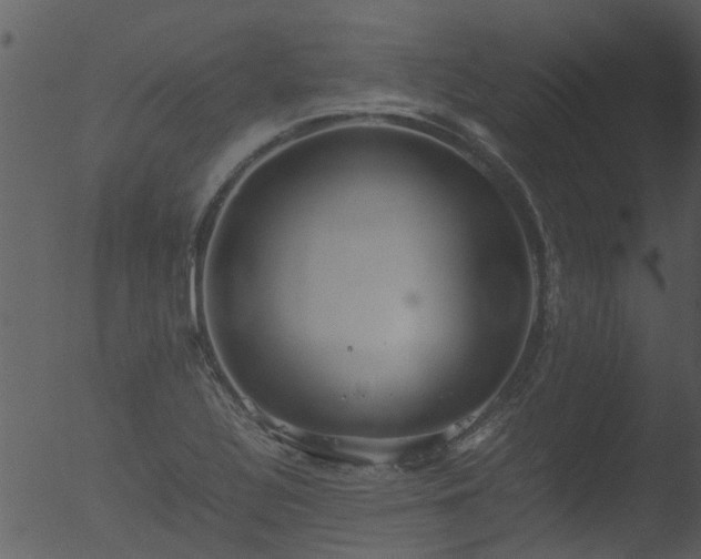 X0000053071320200507181616