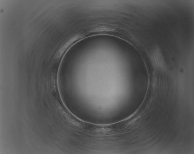 X0000053071321200507181616