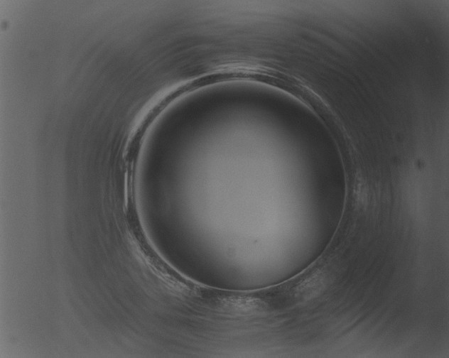 X0000053071323200507181616