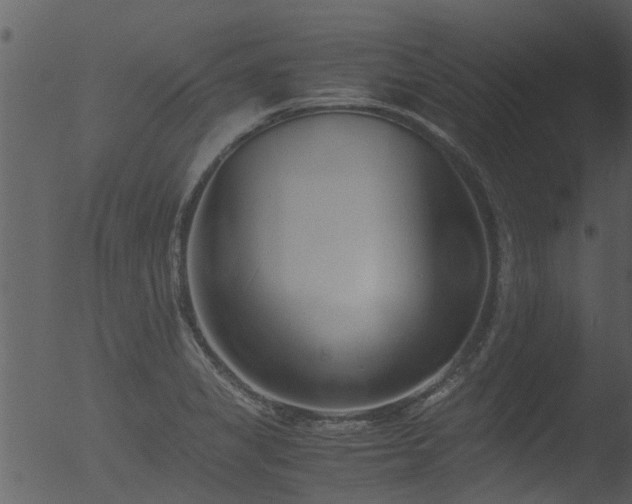 X0000053071325200507181616