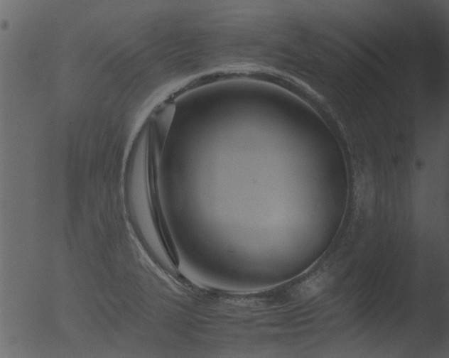 X0000053071327200507181616