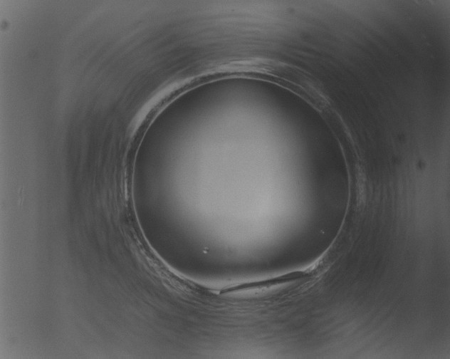 X0000053071328200507181616