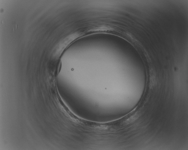 X0000053071329200507181616