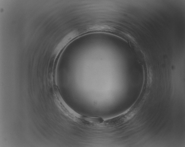 X0000053071330200507181616