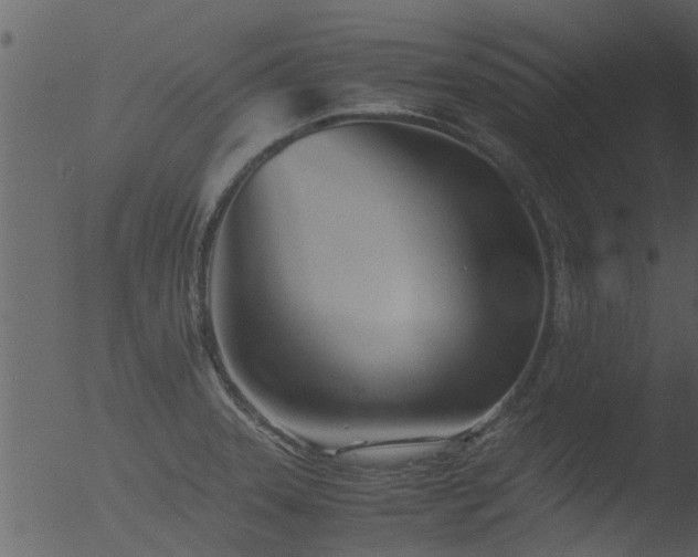 X0000053071331200507181616