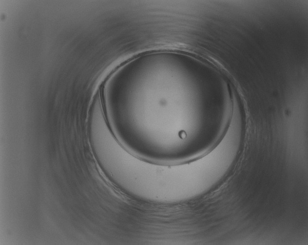 X0000053071332200507181616