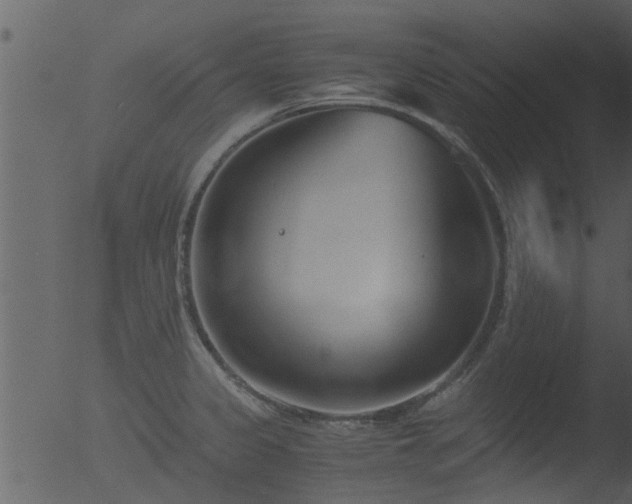 X0000053071333200507181616