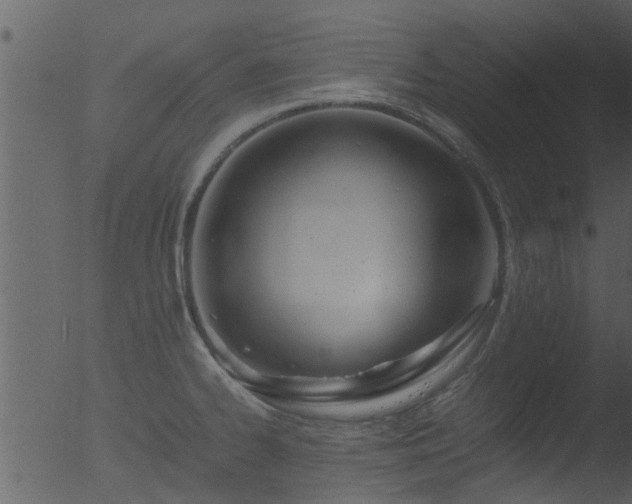 X0000053071334200507181616