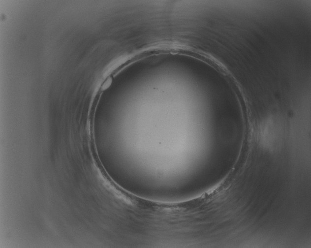 X0000053071335200507181616