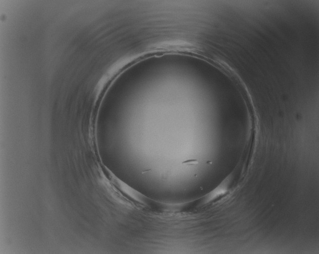 X0000053071336200507181616